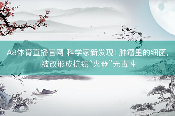 A8体育直播官网 科学家新发现! 肿瘤里的细菌， 被改形成抗癌“火器”无毒性