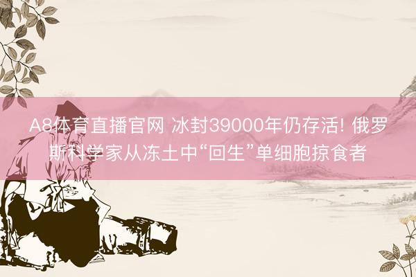 A8体育直播官网 冰封39000年仍存活! 俄罗斯科学家从冻土中“回生”单细胞掠食者