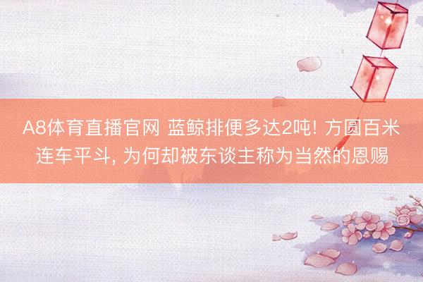 A8体育直播官网 蓝鲸排便多达2吨! 方圆百米连车平斗, 为何却被东谈主称为当然的恩赐