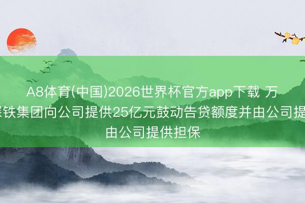 A8体育(中国)2026世界杯官方app下载 万科A: 深铁集团向公司提供25亿元鼓动告贷额度并由公司提供担保