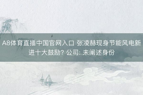 A8体育直播中国官网入口 张凌赫现身节能风电新进十大鼓励? 公司: 未阐述身份