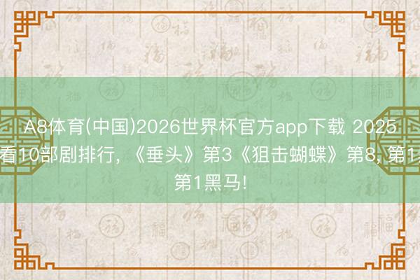 A8体育(中国)2026世界杯官方app下载 2025最佳看10部剧排行， 《垂头》第3《狙击蝴蝶》第8， 第1黑马!