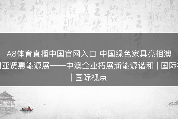 A8体育直播中国官网入口 中国绿色家具亮相澳大利亚贤惠能源展——中澳企业拓展新能源谐和 | 国际视点