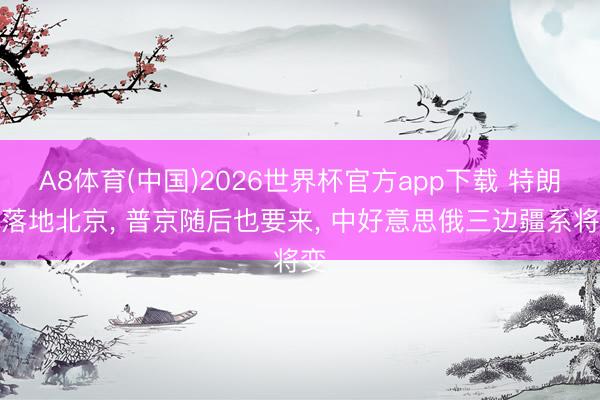 A8体育(中国)2026世界杯官方app下载 特朗普落地北京， 普京随后也要来， 中好意思俄三边疆系将变