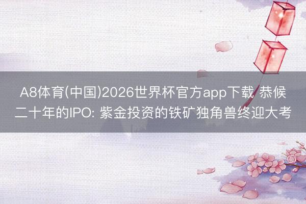 A8体育(中国)2026世界杯官方app下载 恭候二十年的IPO: 紫金投资的铁矿独角兽终迎大考