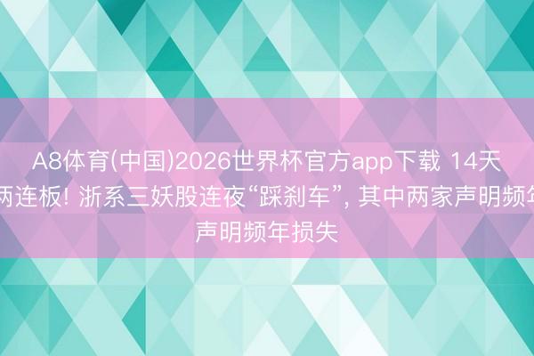 A8体育(中国)2026世界杯官方app下载 14天9板+两连板! 浙系三妖股连夜“踩刹车”， 其中两家声明频年损失