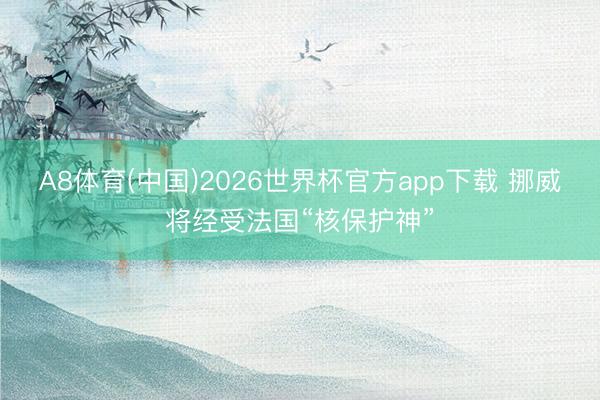 A8体育(中国)2026世界杯官方app下载 挪威将经受法国“核保护神”