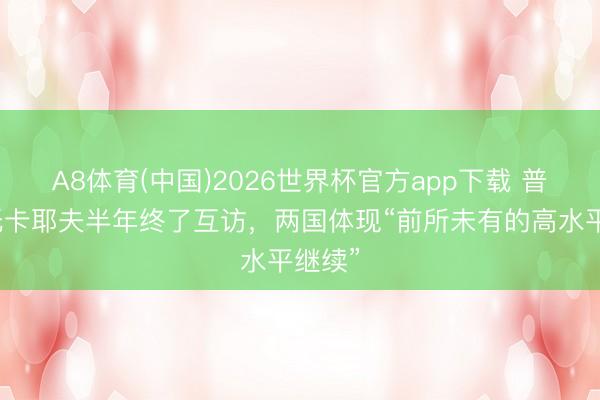 A8体育(中国)2026世界杯官方app下载 普京与托卡耶夫半年终了互访，两国体现“前所未有的高水平继续”