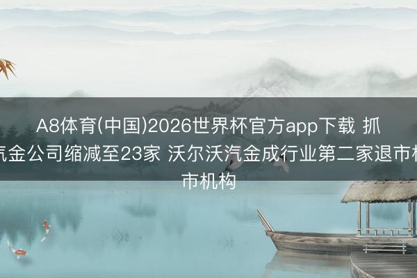 A8体育(中国)2026世界杯官方app下载 抓牌汽金公司缩减至23家 沃尔沃汽金成行业第二家退市机构