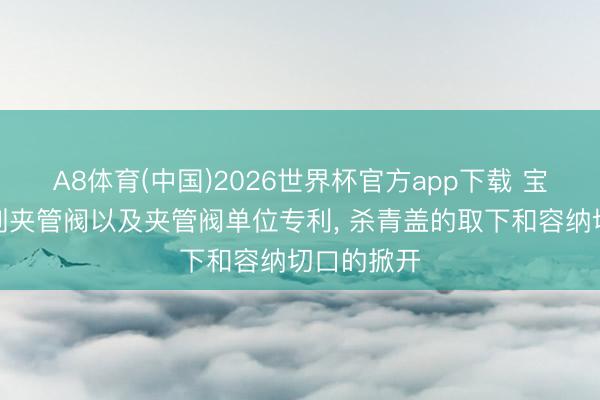 A8体育(中国)2026世界杯官方app下载 宝得流体得到夹管阀以及夹管阀单位专利， 杀青盖的取下和容纳切口的掀开