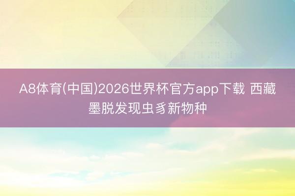 A8体育(中国)2026世界杯官方app下载 西藏墨脱发现虫豸新物种