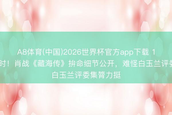 A8体育(中国)2026世界杯官方app下载 147天18小时！肖战《藏海传》拚命细节公开，难怪白玉兰评委集膂力挺