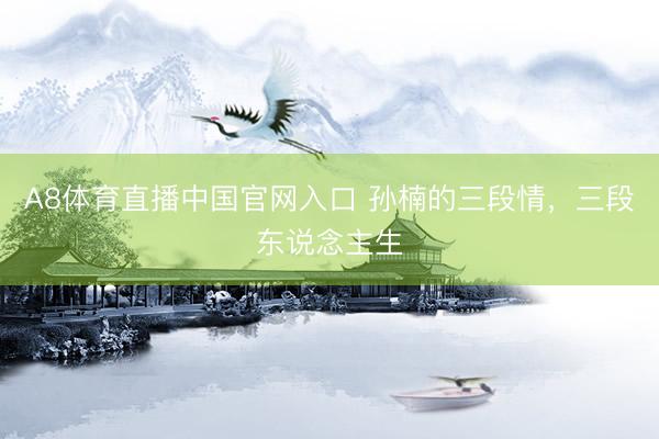 A8体育直播中国官网入口 孙楠的三段情，三段东说念主生