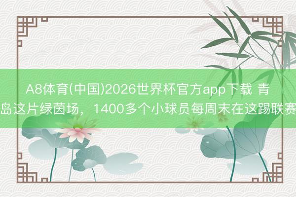 A8体育(中国)2026世界杯官方app下载 青岛这片绿茵场，1400多个小球员每周末在这踢联赛