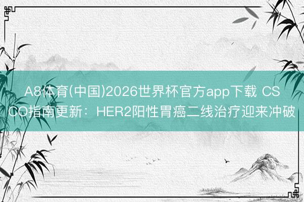 A8体育(中国)2026世界杯官方app下载 CSCO指南更新：HER2阳性胃癌二线治疗迎来冲破
