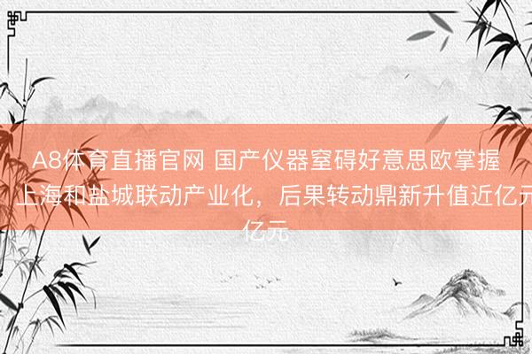 A8体育直播官网 国产仪器窒碍好意思欧掌握,上海和盐城联动产业化,后果转动鼎新升值近亿元