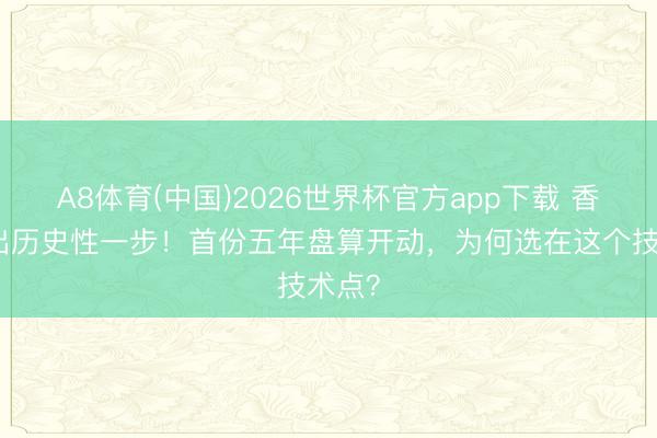 A8体育(中国)2026世界杯官方app下载 香港迈出历史性一步!首份五年盘算开动,为何选在这个技术点?